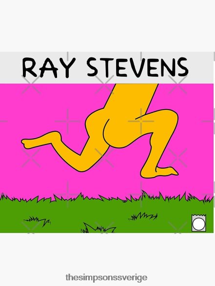 ray stevens kasta filt rb0709 dekoration DL0Z4F167 The Simpson Shop