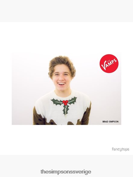 Bradley will simpson kasta kudde rb0709 dekoration DL0Z4F176 The Simpson Shop