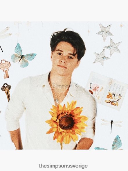 brad simpson kudde rb0709 dekoration DL0Z4F186 The Simpson Shop