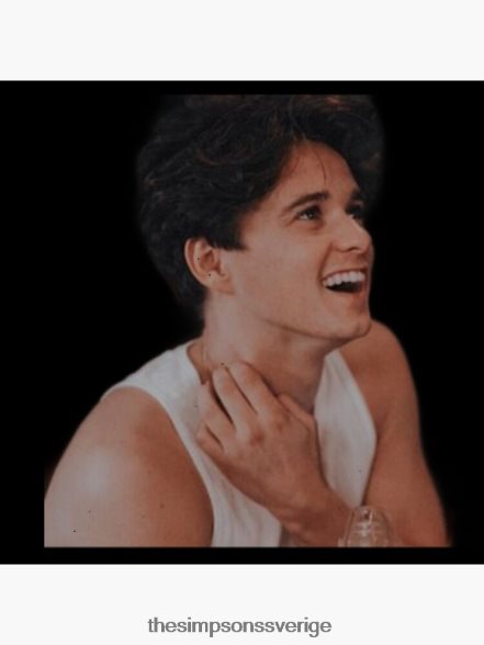 bradley simpson leende kudde rb0709 dekoration DL0Z4F179 The Simpson Shop