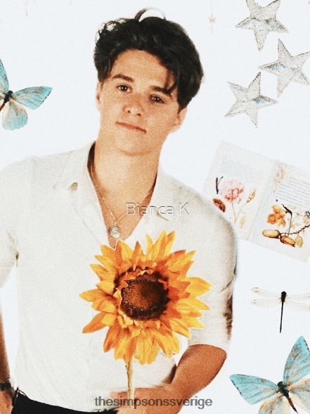 brad simpson iphone mjukt skal rb0709 fall DL0Z4F102 The Simpson Shop